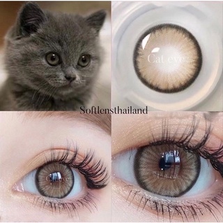 ส่งฟรีทุกขนส่ง📮 Cat eye คอนเเทคเลนส์รายปี-ขนาด14.5(Idollens)