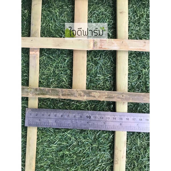 ไม้หลัก,ไม้เลื้อยกระถางเล็กขนาด 65 x 25 ซม. 1คู่ราคา 90บาท✅✅ - รูปที่ 6