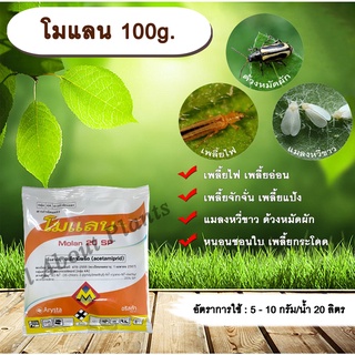 โมแลน 100g. อะซีทามิพริด อะเซทามิพริด สารกำจัดแมลง ดูดซึม เพลี้ยไฟ แมลงหวี่ขาว ด้วงหมัดผัก เพลี้ยอ่อน allaboutplants