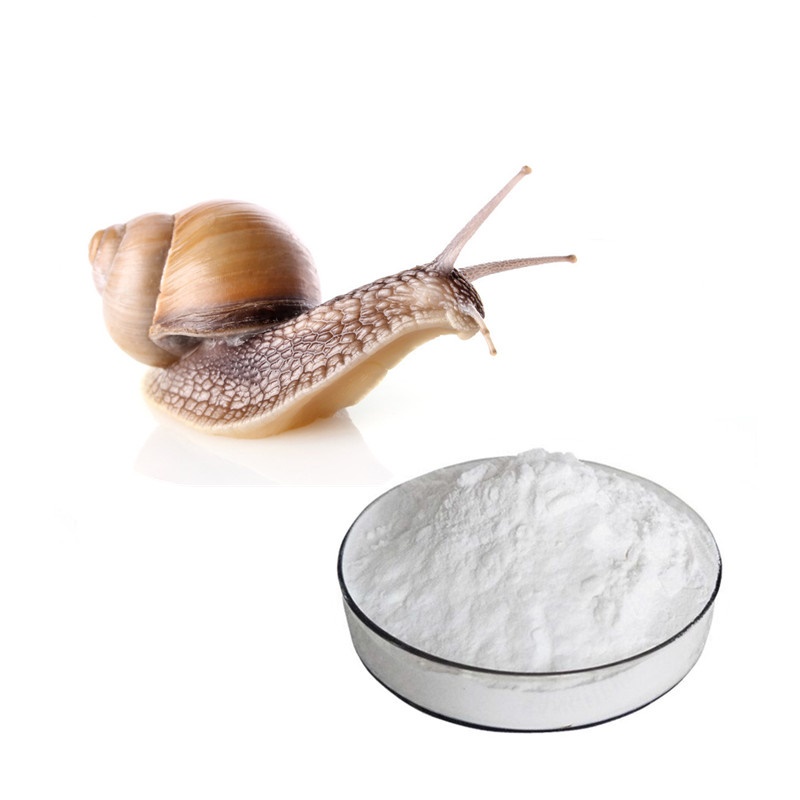 ผงเมือกยืด ผงSnail ผงสร้างเมือกหอยทาก ขนาด 100 กรัม รหัสสินค้า 006667