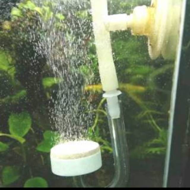 Diffuser Co2 Diy Ceramic Ragil Cosid Tube โดย One Square