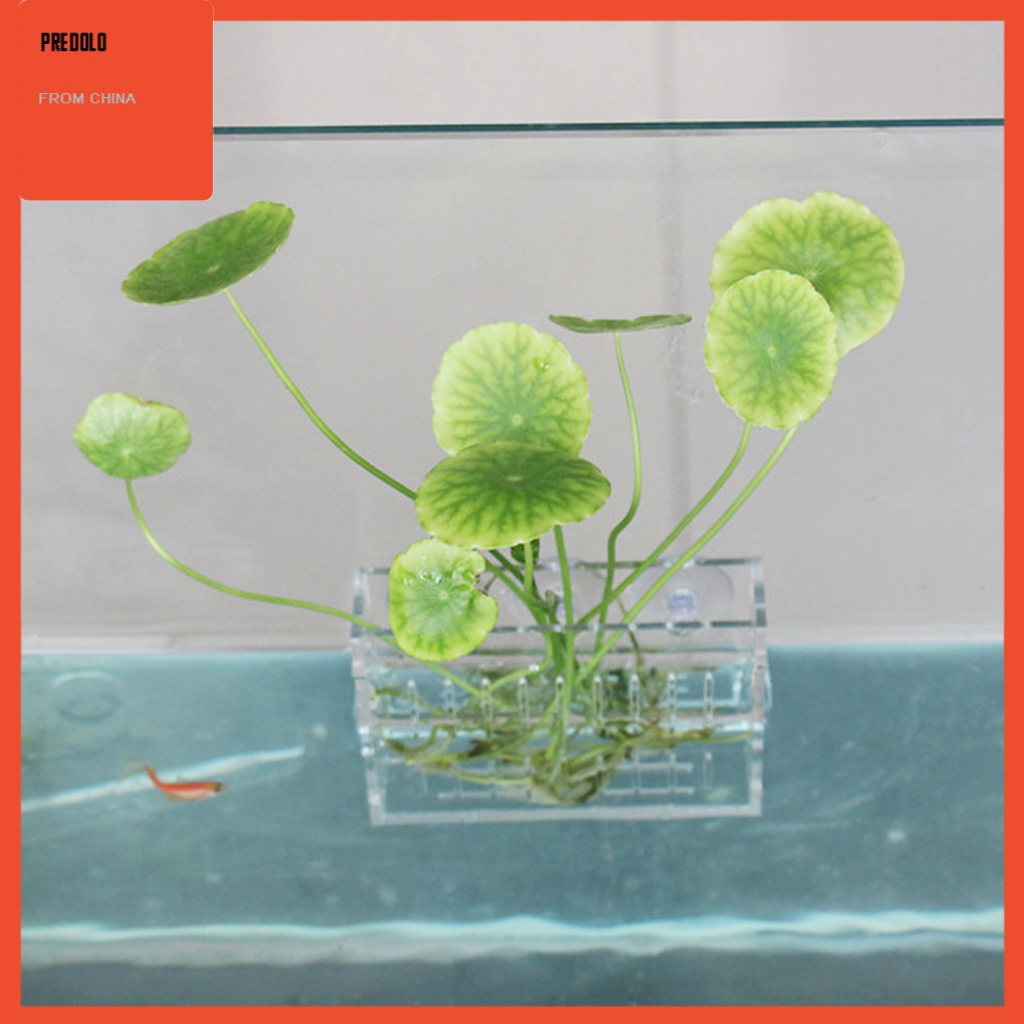 Water Plants Pot Holder - Aquarium Aquatic Water Plants Cup