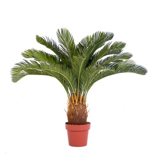 Artificial tree ARTIFICIAL CYCAD LALA HOME 93CM Garden accessories Garden decoration accessories ต้นไม้ประดิษฐ์ ต้นปรงปร