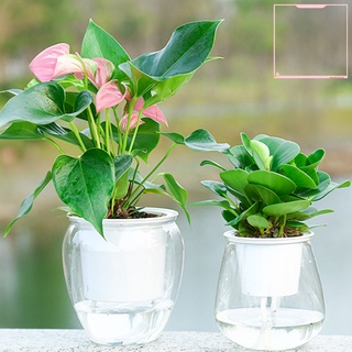 [AG]Flowerpot Self Watering Practical Plastic Transparent Plant Pot for Home