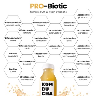 [ Premium Probiotic ] โพรไบโอติกส์ โพรไบโอติค โพรไบโอติก โพรไบรโอติก โปรไบโอติก จุลินทรีย์ แบคทีเรียยีสต Synbiotic Fiber