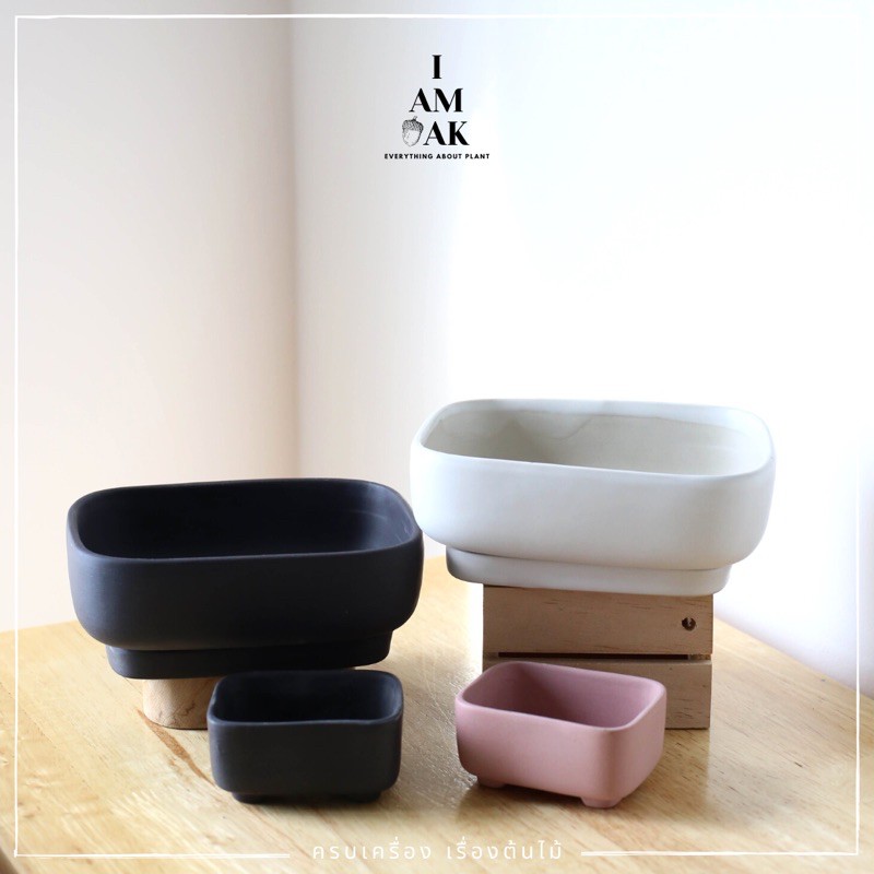 มุมมอง 2