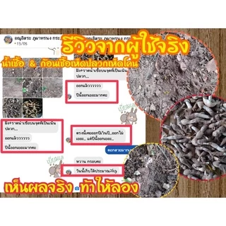 ก้อนเชื้อเห็ดโคน หัวเชื้อสูตรเข้มข้นเจ้าแรกในไทย