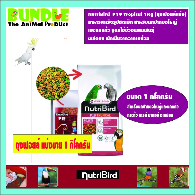 NutriBird  P19 Tropical 1Kg (ถุงฟอยล์แบ่ง) อาหารสำเร็จรูปอัดเม็ด สำหรับนกปากขอใหญ่  และนกแก้ว สูตรใช
