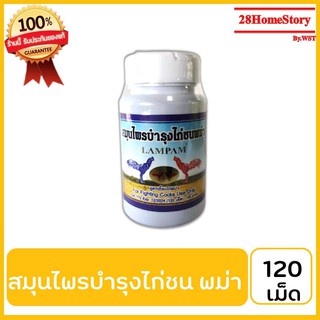 สมุนไพรบำรุงไก่ชน พม่า (ลำปำ) (120 เม็ด) ยาไก่ชน ยาไก่ตี ลดการเมื่อยล้าของไก่ชนจากการออกกำลังกาย