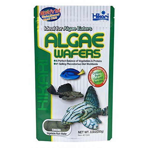 Hikari Tropical Algae Wafers อาหารปลาจม 40g