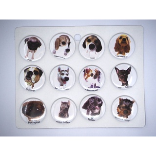 เข็มกลัด 3.2cm/4.4cm Animals   สัตว์ หมา  dog  Badge