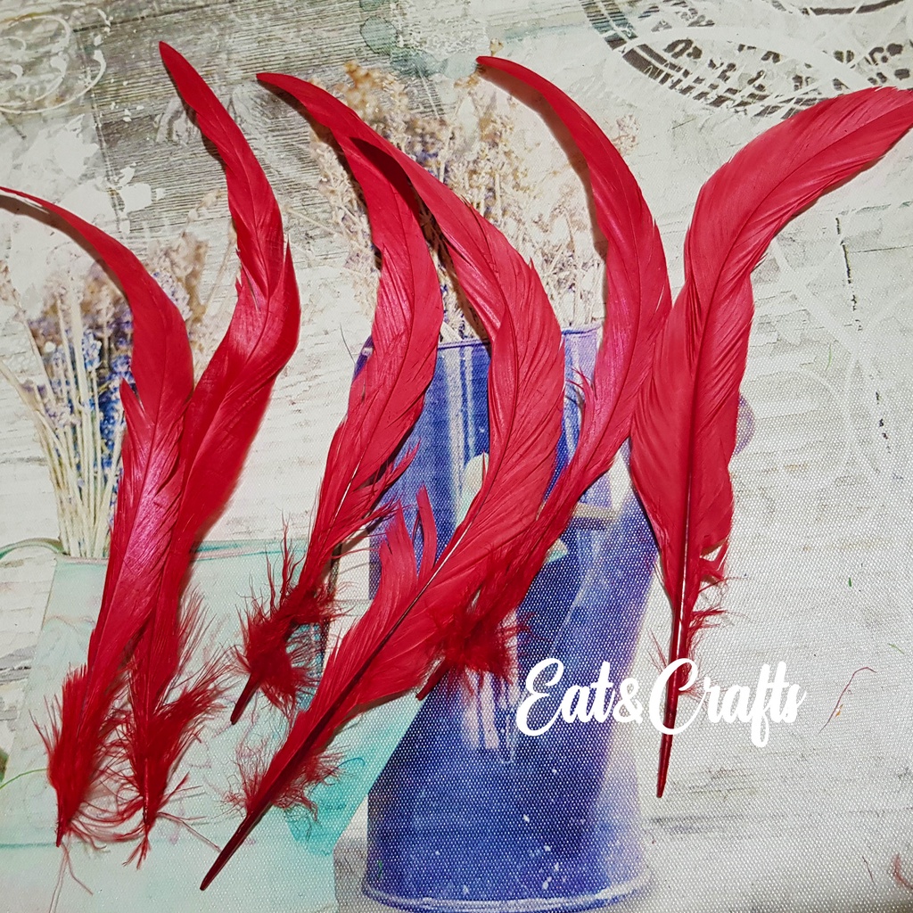 ขนไก่โต้ง สั้น 9 ก้าน มีหลายสี (พร้อมส่ง) เส้นขน ขนนก ขนไก่ แบ่งขาย  ขนาดเล็ก ยาว10-12 นิ้ว Rooster Coque Tail Feather ราคา ถูกที่สุด ดีลบีเคเค แกลเลอรีภาพที่ 6