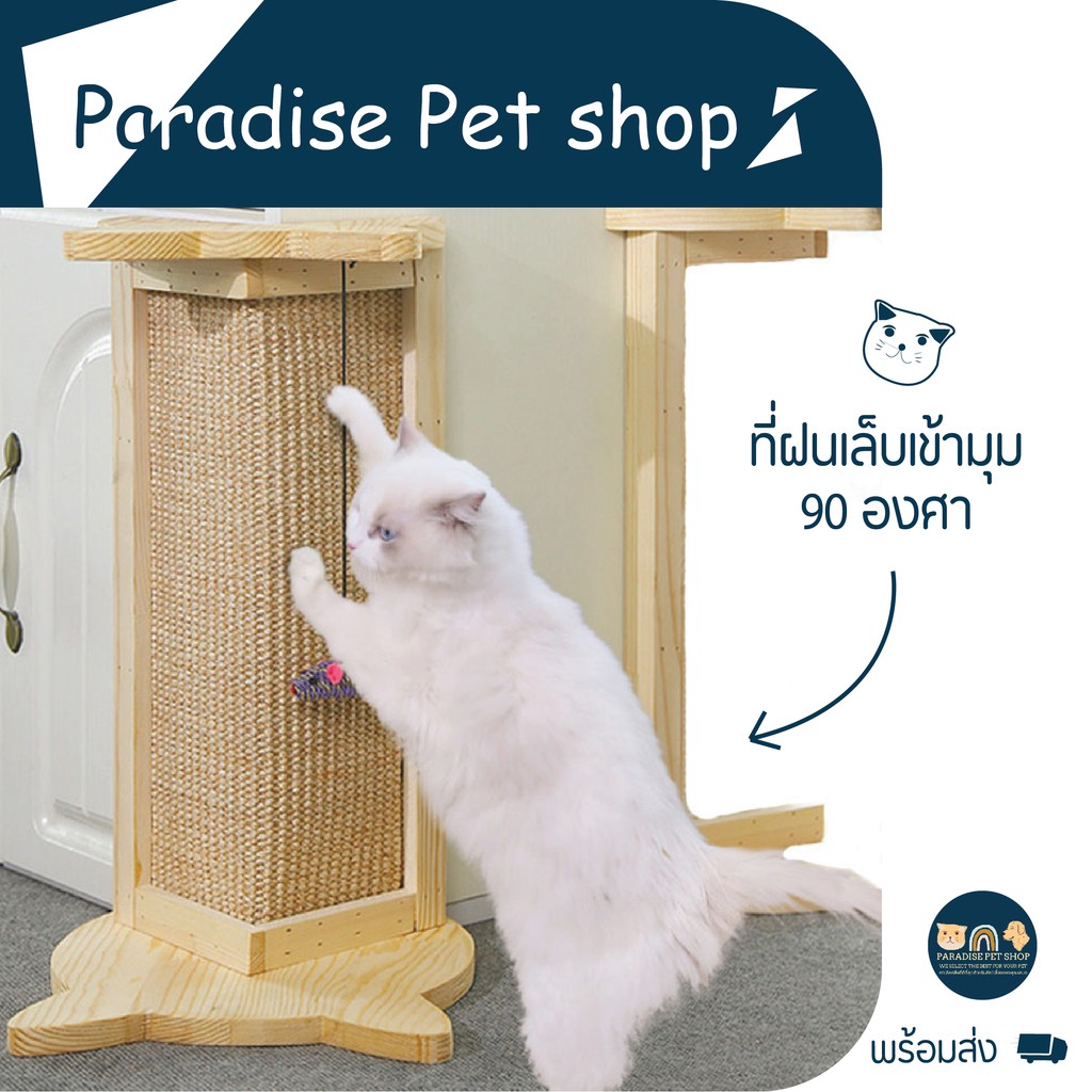 ที่ฝนเล็บเข้ามุม 90 องศา [PT_0019]
