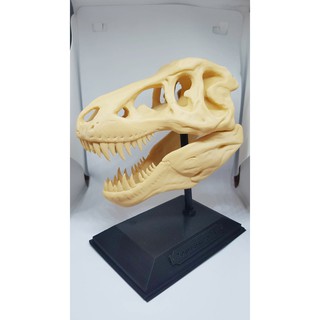 T-rex Head Model โมเดลสะสมตั้งโชว์หัวไดโนเสาร์