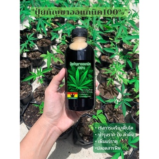 ปุ๋ยกัญชา เร่งโต เร่งราก เร่งใบ ลำต้นแข็งแรง เร่งช่อดอก