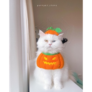 ชุดฟักทองไฟกระพริบpurrpet Pumpkin Halloween