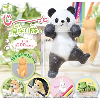 // ✿ พร้อมส่งยกชุด ✿ กาชาปองน้องสัตว์เกาะแก้ว (YELL) Ji-tto Mimamori-tai