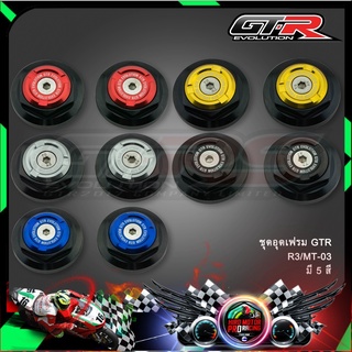 ชุดอุดเฟรม GTR R3/MT-03