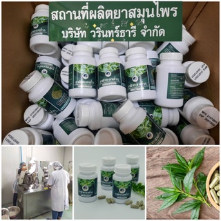 วรินทร์ธารี🌿(50กระปุก) สมุนไพรแผนโบราณ60แคปซูล500มก.