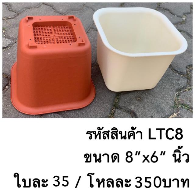 LTC8  กระถางต้นไม้แคคตัส มีให้เลือก 2 สี ขนาด 8 x 6 นิ้ว 1โหล