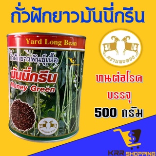 ถั่วฝักยาวมันนี่กรีน 500 กรัม เมล็ดพันธุ์ถั่วฝักยาวมันนี่กรีน ถั่วฝักยาวพันธุ์เนื้อ มันนี่กรีน