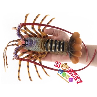 Monkey Toys - โมเดลสัตว์ กุ้งมังกร ออสเตเลีย เขียว ขนาด 22.50 CM (จากหาดใหญ่)