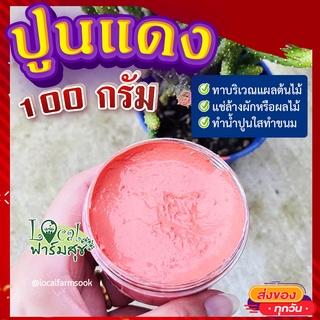 ปูนแดง (Red Lime) 🍂100 กรัม ปูนแดงทาแผลต้นไม้ ปูนแดงทาต้นไม้