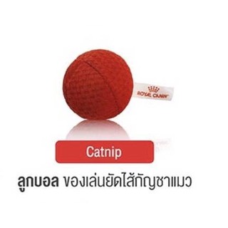 ลูกบอล Catnip ของเล่นแมว