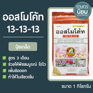 ปุ๋ยเกล็ด ออสโมโค้ท (ปุ๋ยเคมีสูตร 13-13-13) 1 กิโลกรัม