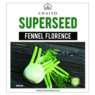 เมล็ดพันธุ์เฟนเนล ชัยโย 100 เมล็ด FENNEL (FLORENCE) 100 SEEDS