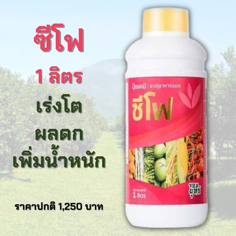 ซีโฟ ปุ๋ยน้ำซีโฟ 1 ลิตร บำรุงผล เร่งเติบโตผล ผลดกใหญ่ยืดอายุการเก็บเกี่ยว