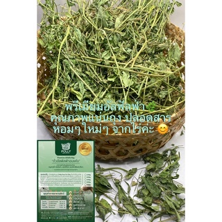 #ถั่วอัลฟัลฟ่าอบแห้ง 250g/1kg Premium Alfalfa Hay #หญ้าอัลฟัลฟ่า#หญ้ากระต่าย#อาหารกระต่าย#หนูแกสบี้#ชินชิลล่า#แพรรีด็อก