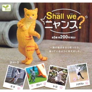 กาชาปองแมว Shall we Nyans? แมวเหมียวเต้นระบำ (พร้อมส่ง ของแท้ JP)