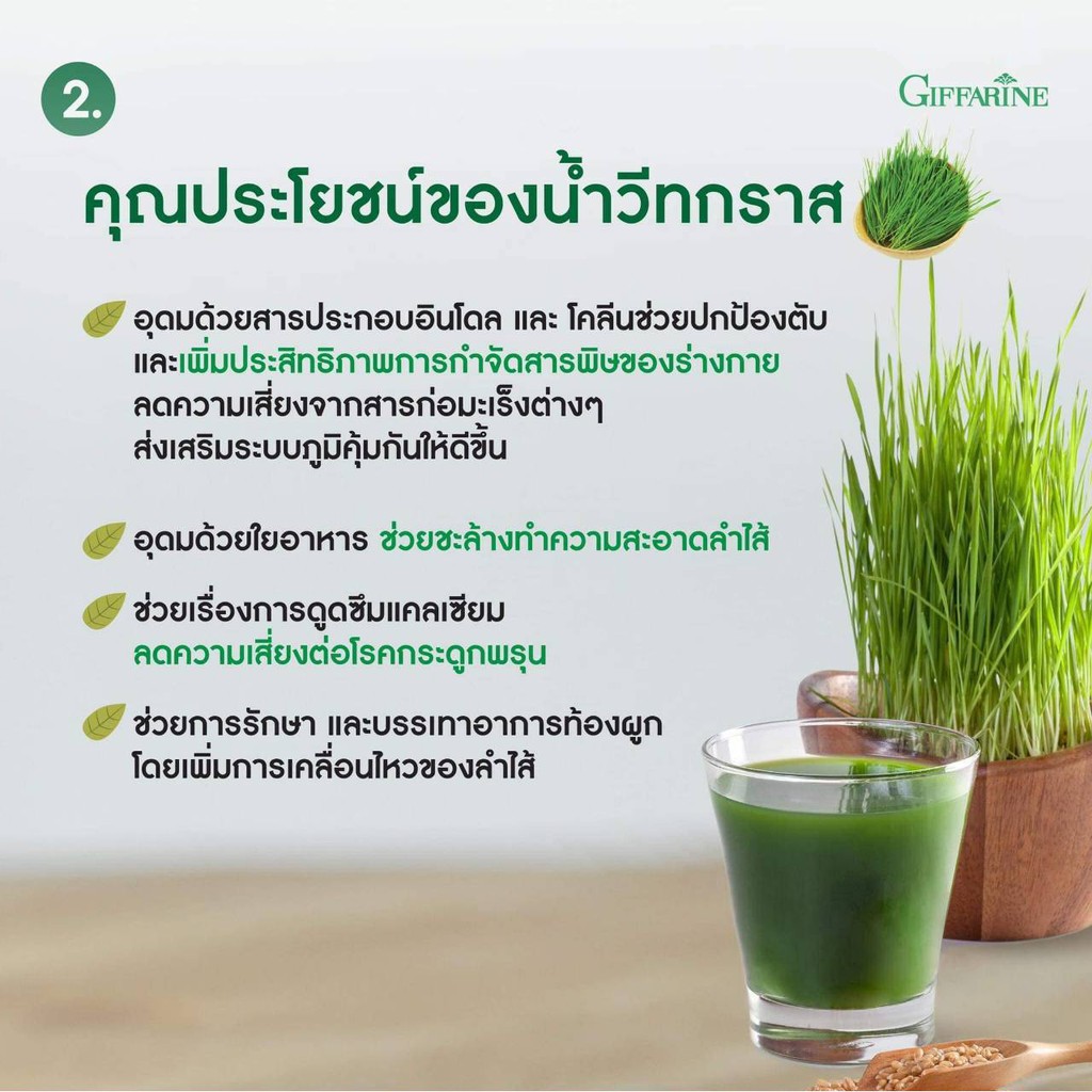 วีทกราส ภาวะโลหิตจาง ธาลัสซีเมีย ต้นอ่อนข้าวสาลี ใบอ่อนข้าวสาลี มีวิตามิน เอนไซม์ มีฤทธิ์เป็นสารต้านอนุมูลอิสระ
