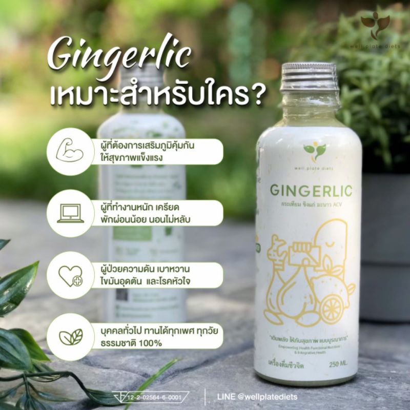 GINGERLIC น้ำสกัด กระเทียม ขิง มะนาว น้ำแอปเปิ้ลไซเดอร์