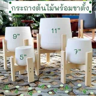 กระถางต้นไม้ กระถางต้นไม้พลาสติก กระถางเบลล่า พร้อมขาตั้งกระถาง ขาตั้งกระถางต้นไม้ กระถางมินิมอล