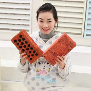 【บลูไดมอนด์】Creative Brick Pillow Personality Realistic Funny Simulation Bricks Pillows Special Gift Sponge Plus