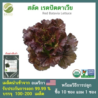 เมล็ดสลัด เรดปัตตาเวีย  จำนวน 100-200 เมล็ด