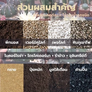 ส่งฟรี ดินปลูก แคคตัส ดินแคคตัส 5kg คุณภาพสูง กระบองเพชร ไม้อวบน้ำ ไลทอป กุหลาบหิน