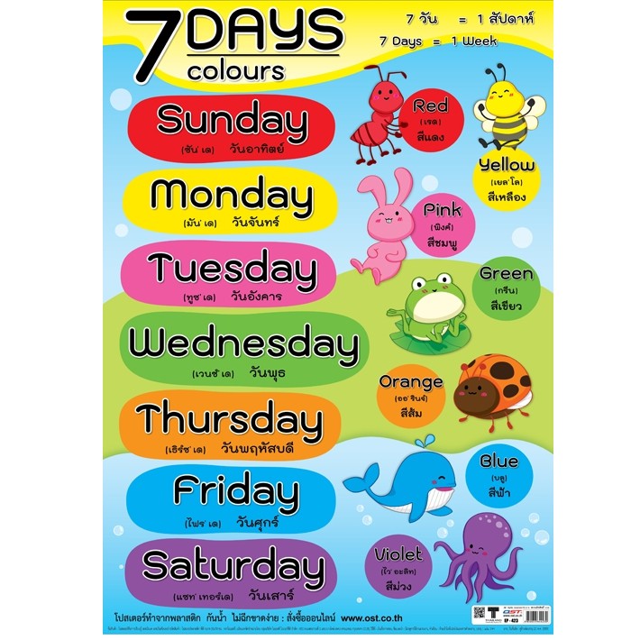 โปสเตอร์เรื่อง 7 Days & Colours  #EP-423 โปสเตอร์พลาสติก โปสเตอร์สื่อการเรียนรู้