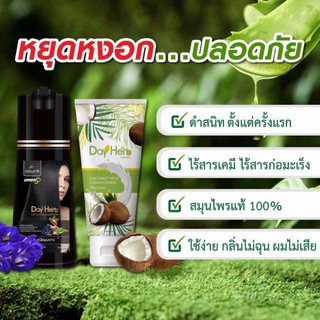 💚ส่งฟรี!💚แชมพู Day Herb สีดำ/น้ำตาล/ไวน์แดง ปิดผมหงอก ไม่มีสารเคมี 200มล. *ผู้ที่เคยแพ้ยาย้อมผมไม่ควรใช้+ควรอ่านวิธีช้