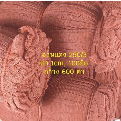 ✂✂✂แบ่งขายเป็นเมตรตามความยาว : อวนแดง 250/3 ขนาดตา 1cm, (100ข้อ) กว้าง 600 ตา, ######✂✂✂แบ่งขายเป็นเมตร