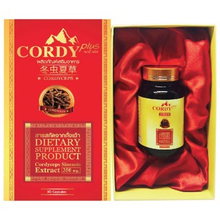 Cordy Plus คอร์ดี้ พลัส [30 แคปซูล]เสริมระบบภูมิคุ้มกันในร่างการเพิ่มการไหลเวียน