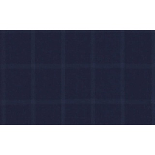 Fine Fabrics Fine &amp; Dandy/59500 Col.2 Luiciano Brand Jacketing Fabrics Windowpane Pattern 595028