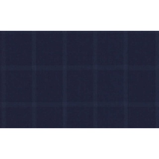 Fine Fabrics Fine &amp; Dandy/59500 Col.2 Luiciano Brand Jacketing Fabrics Windowpane Pattern 595028