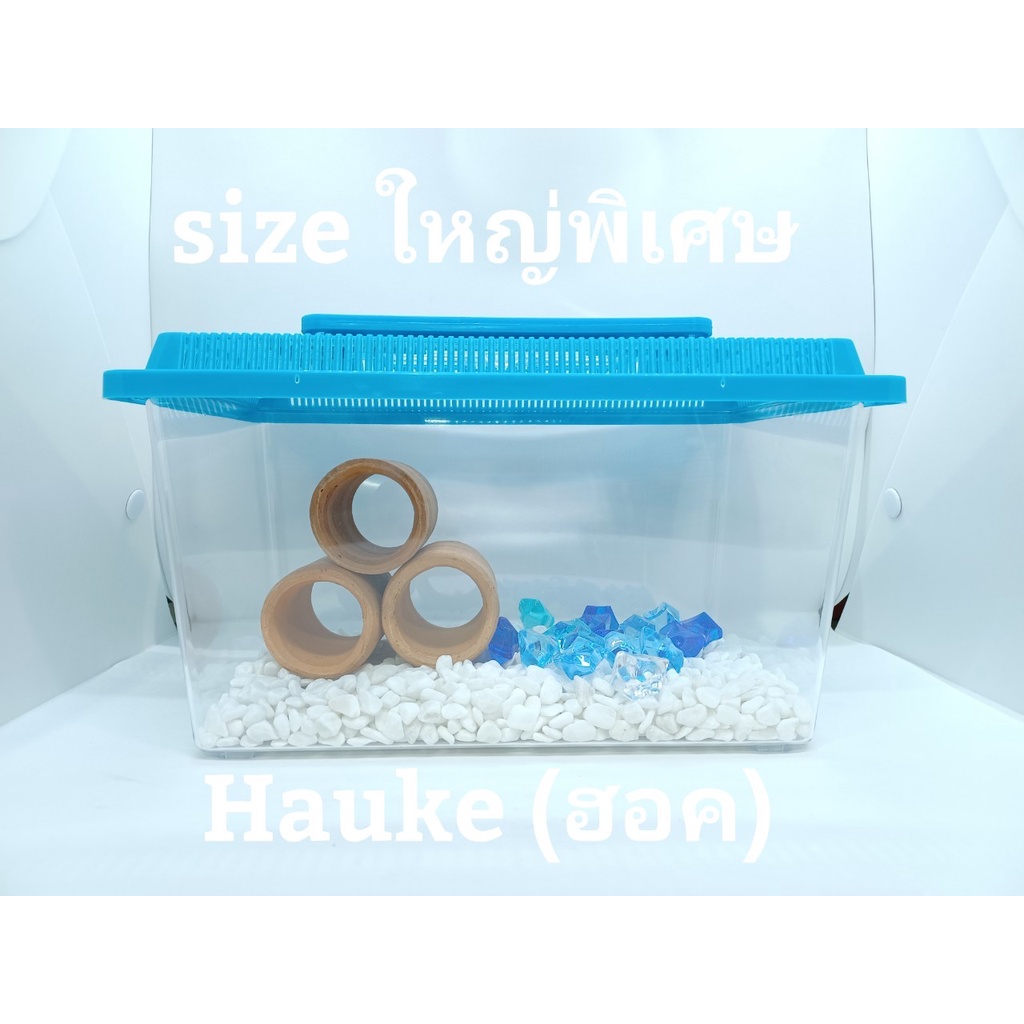 ตู้ปลา กล่องใส่เต่า กล่องใส่ปลา ขนาดใหญ่ กล่องใส่หนูแฮมเตอร์ ถูกมาก ตู้ปลากัด