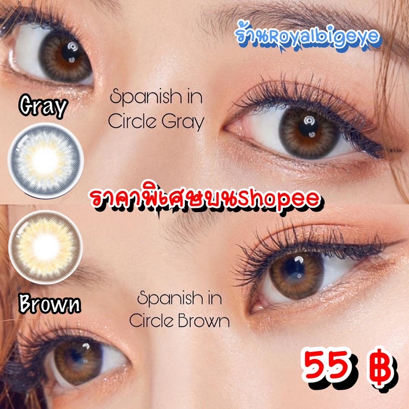 คอนแทคเลนส์ Spanish 3 tone (Spanish Circle) Gray / Brown - Gaezz Secret ขนาดมินิ มีสายตาถึง -7.00