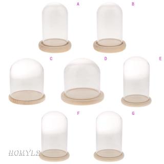 [HOMYL2] Clear Glass Display Dome Cloche Bell Jar With Wooden Base for DIY Decoration