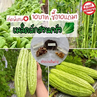 🥬เมล็ดพันธุ์คัดพิเศษ💯 มะระจีน ถั่วฝักยาว กวางตุ้งฮ่องเต้ ถูกกว่า คุ้มกว่า 🥦🥬🥒ซื้อ10แถม1ค่ะ