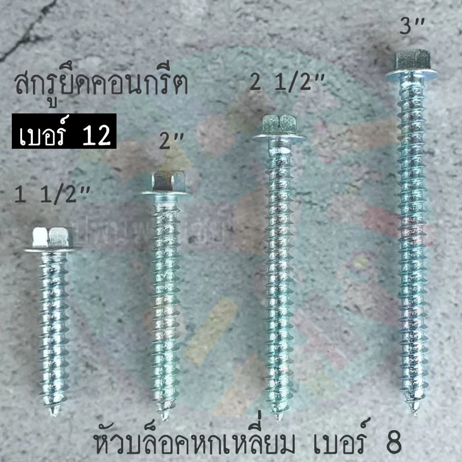สกรูยึดคอนกรีต ยึดแทนพุ๊ก1.5,2,2.5,3 นิ้ว(20ตัว) หัวแหวน12มิล เกลียว6.4มิล